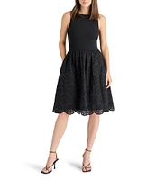 Steve Madden Julian Scoop Neck Sleeveless Eyelet Dress