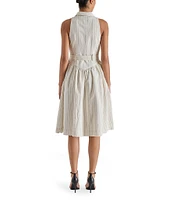 Steve Madden Mary Sleeveless Stripe Midi Button Front Shirt Dress