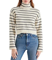 Steve Madden Narsha Knit Stripe Print Turtleneck Long Sleeve Sweater