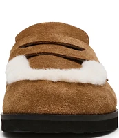 Steve Madden Tomlin Suede Faux Fur Platform Clogs