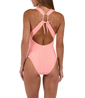 Sunshine '79 Solid Plunge V-Neck Shirred Tummy Control One piece Swimsuit