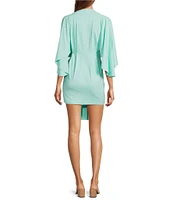 Susana Monaco Knit Pleated V-Neck Short Sleeve Wrap Dress
