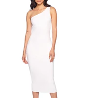 Susana Monaco One Shoulder Neck Sleeveless Bodycon Midi Dress