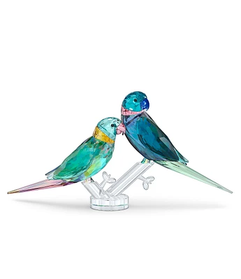 Swarovski Jungle Beats Parakeet Couple Fife & Fifer