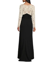 Tadashi Shoji Bateau Illusion Neck Corded Lace Bodice Mixed Media Gown