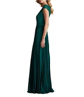 Tadashi Shoji Cap Sleeve Sequin Embroidered Lace Chiffon Pleated Gown