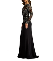 Tadashi Shoji Illusion Long Sleeve Embroidery Lace Crepe Aline Gown