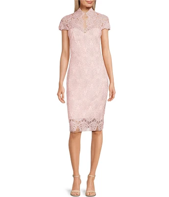 Tadashi Shoji Illusion Short Sleeve Split V-Neck Corded Lace Sheath Dress