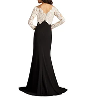 Tadashi Shoji Illusion V-Neck Long Sleeve Lace Bodice Crepe Gown