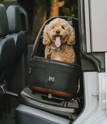 Tavo Pet Maeve™ Pet Car Seat, Medium Rigid