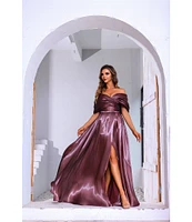 Terani Couture Off-The-Shoulder Pleated Short Sleeve Shimmer Organza A-Line Gown