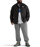 The North Face Big & Tall Core Heathered Jogger Pants