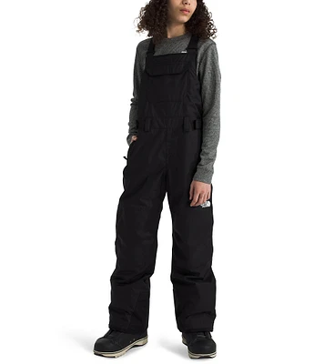 The North Face Big Kids 6-20 Freedom Insulated Bib