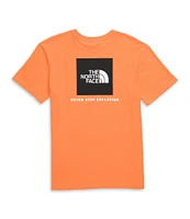 The North Face Evolution Box Short Sleeve Crew Neck Tee