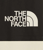The North Face Evolution Box Short Sleeve Crew Neck Tee