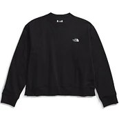 The North Face Evolution Crew Neck Long Sleeve Top