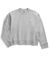 The North Face Evolution Crew Neck Long Sleeve Top