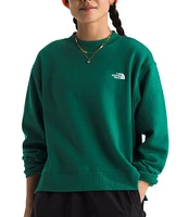 The North Face Evolution Crew Neck Long Sleeve Top