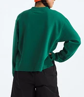 The North Face Evolution Crew Neck Long Sleeve Top