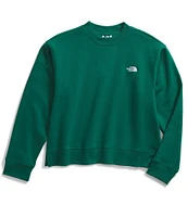 The North Face Evolution Crew Neck Long Sleeve Top