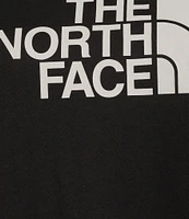 The North Face Evolution Half Dome Short Sleeve Tee