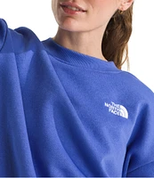 The North Face Evolution Oversize Crew