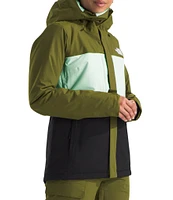 The North Face Freedom Insulated Hooded Jacket