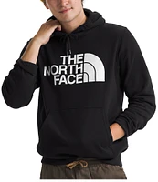 The North Face Half Dome Raglan Sleeve Pullover Hoodie