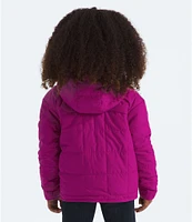 The North Face Little Girls 2T-7 Long Sleeve Reversible Shasta Full-Zip Hooded Jacket