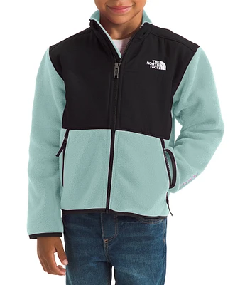 The North Face Little Kids 2T-7 Long Sleeve Water-Repellent Denali Jacket