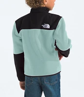 The North Face Little Kids 2T-7 Long Sleeve Water-Repellent Denali Jacket