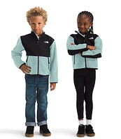 The North Face Little Kids 2T-7 Long Sleeve Water-Repellent Denali Jacket