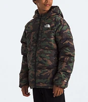 The North Face Little/Big Boys 6-16 North Down Hooded Jacket