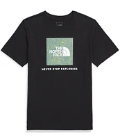 The North Face Little/Big Boys Short Sleeve Topo Green TSE Box Graphic T-Shirt