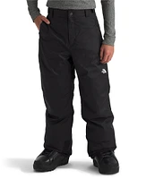 The North Face Little/Big Boys 6-20 Freedom Insulated Pants