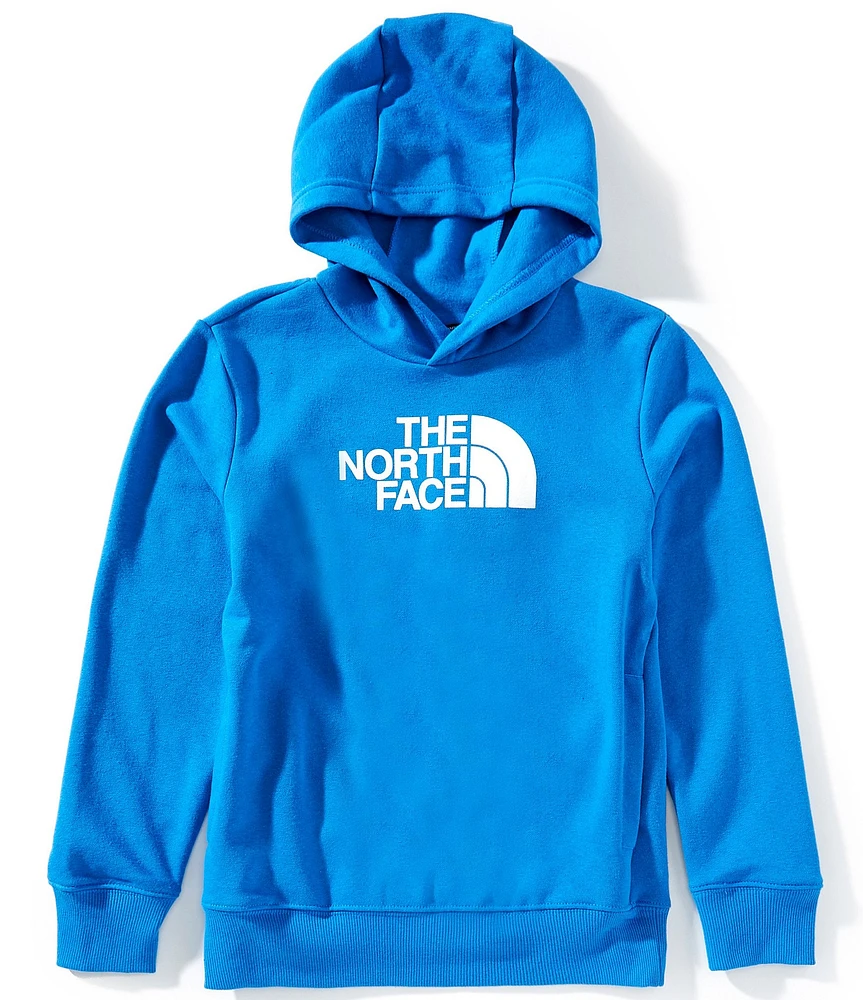 The North Face Little/Big Boys Long Sleeve Half Dome Climate-Conscious Hoodie