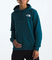 The North Face Long Sleeve Box Graphic NSE Heathered Hoodie