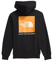 The North Face Long Sleeve Box Graphic NSE Heathered Hoodie