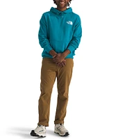 The North Face NSE Pullover Graphix Hoodie