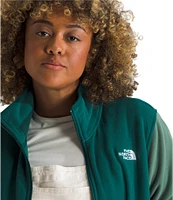 The North Face Plus Size Glacier Fleece Zip Front Jacket