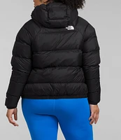 The North Face Plus Size Hydrenalite 600 Down Stand Collar Hooded Front Zip Jacket