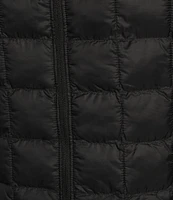 The North Face Plus Size ThermoBall™ Eco Packable Quilted Hooded 2.0 Puffer Jacket