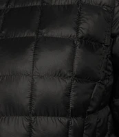 The North Face Plus Size ThermoBall™ Eco Quilted Hooded Zip Front Parka