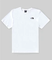The North Face Short Sleeve Box NSE Celebration Graphic T-Shirt