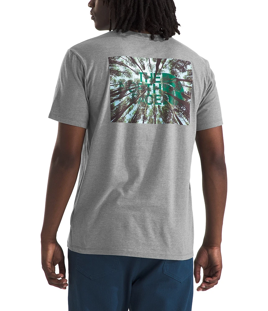 The North Face Short Sleeve Crown Shyness Heathered Graphic T-Shirt