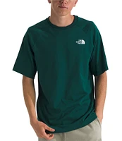 The North Face Short Sleeve Denali Graphic T-Shirt