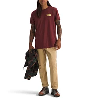 The North Face Short Sleeve Public Lands Cactus Graphic T-Shirt