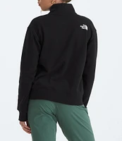The North Face Box Half Dome-Zip Stand Collar Pullover