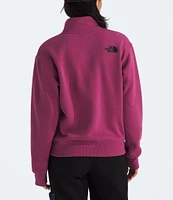 The North Face Box Half Dome-Zip Stand Collar Pullover