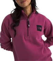 The North Face Box Half Dome-Zip Stand Collar Pullover